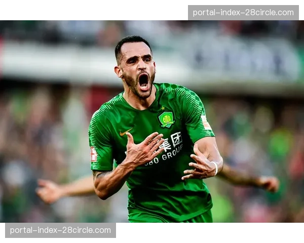 北京国安六外援配置，法比奥达万斯帕吉奇领衔